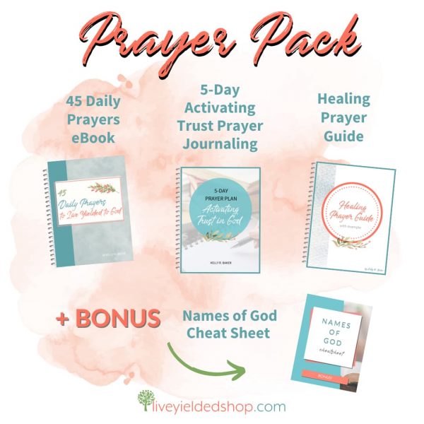 The Prayer Pack has the following products: the 45 Daily Prayers eBook, the 5-Day Activating Trust Prayer Journal, and the Healing Prayer Guide. Digital.